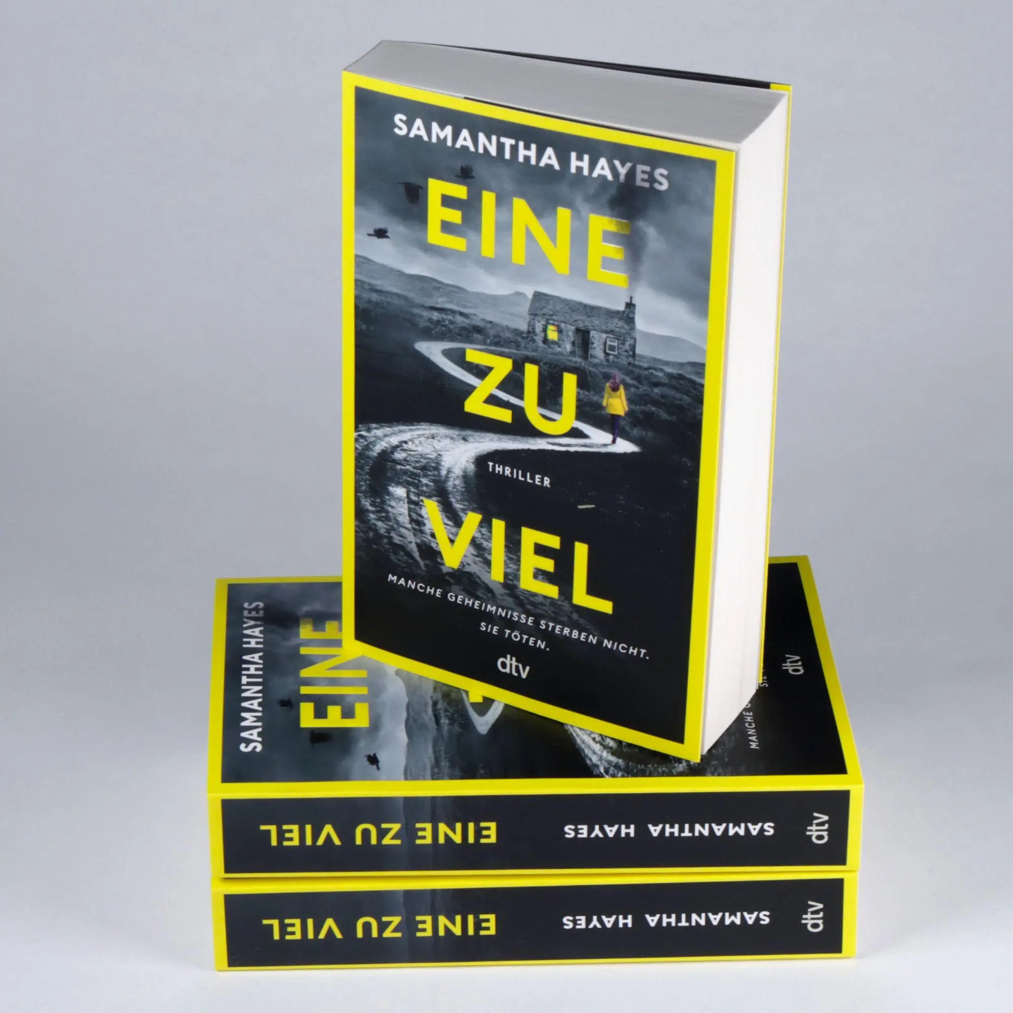 Bild: 9783423221924 | Eine zu viel | Samantha Hayes | Taschenbuch | 432 S. | Deutsch | 2026