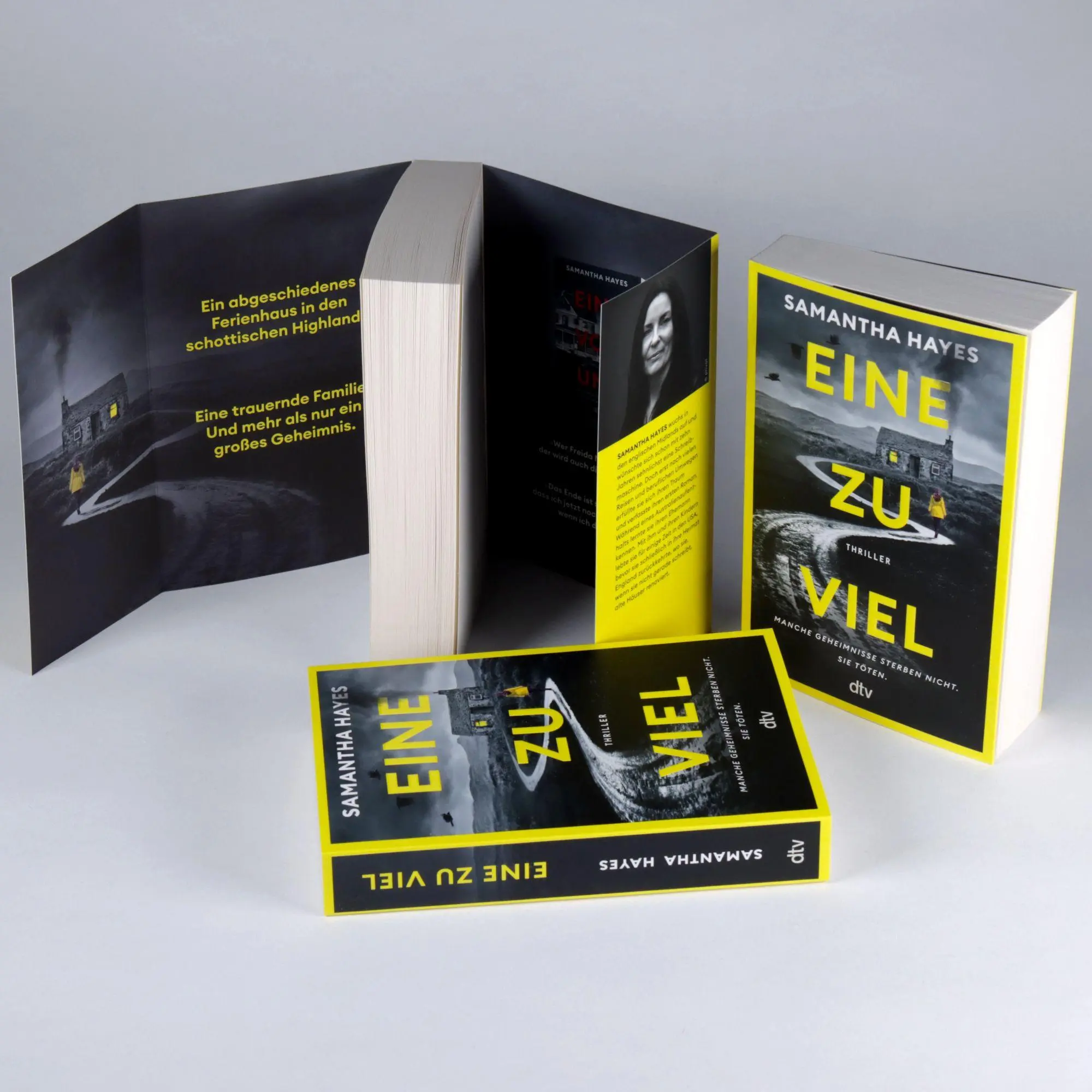 Bild: 9783423221924 | Eine zu viel | Samantha Hayes | Taschenbuch | 432 S. | Deutsch | 2026
