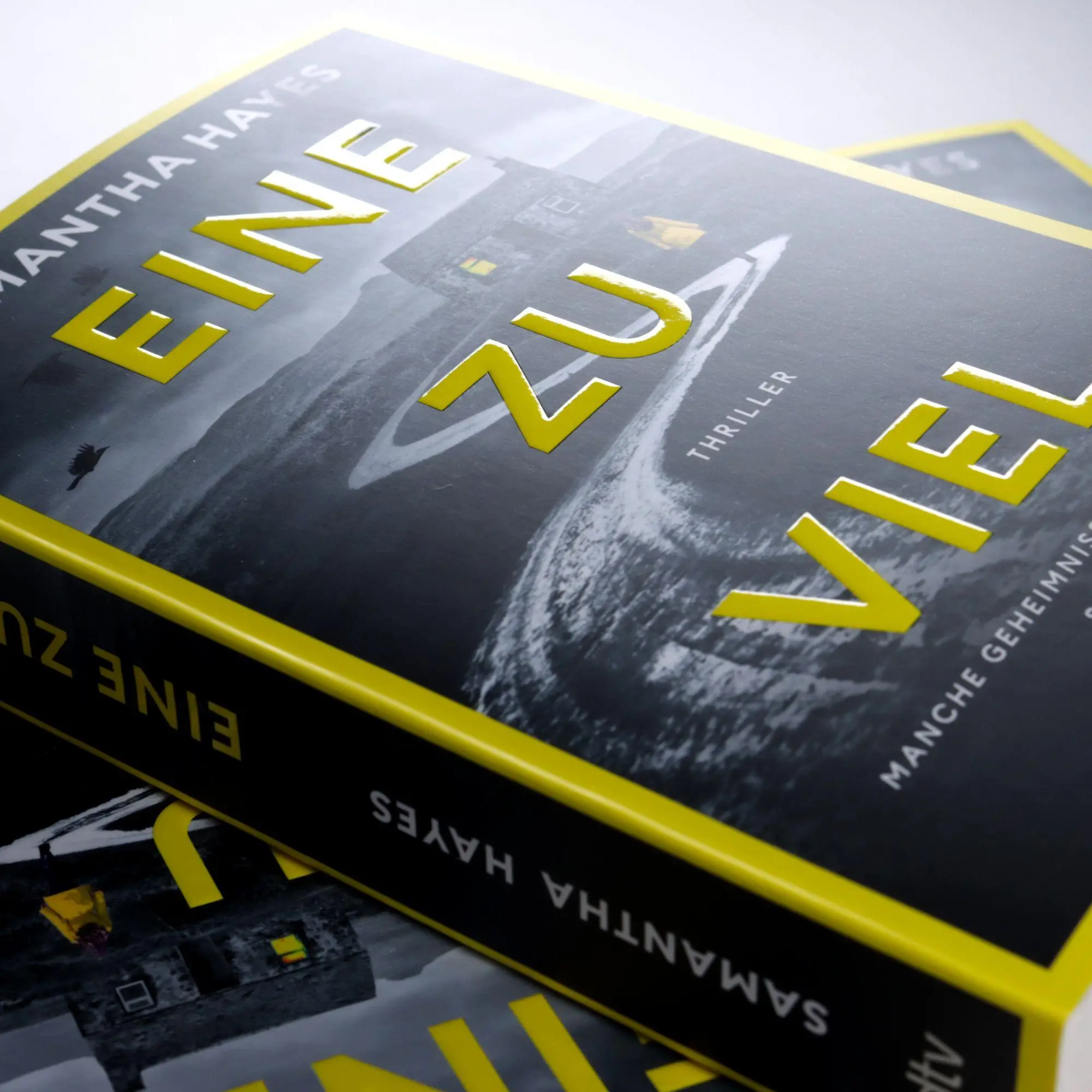 Bild: 9783423221924 | Eine zu viel | Samantha Hayes | Taschenbuch | 432 S. | Deutsch | 2026
