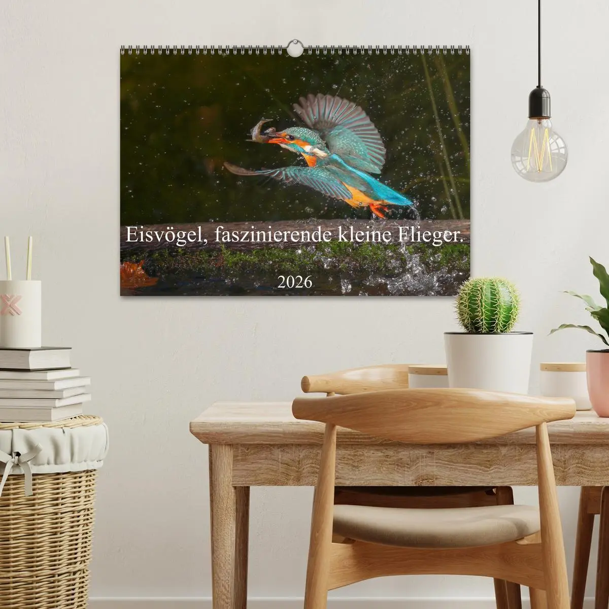 Bild: 9783457741924 | Eisvögel, faszinierende kleine Flieger. (Wandkalender 2026 DIN A3...