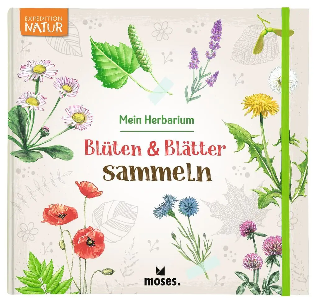 Cover: 9783964551924 | Blüten &amp; Blätter sammeln | Mein Herbarium | Anke Küpper | Taschenbuch