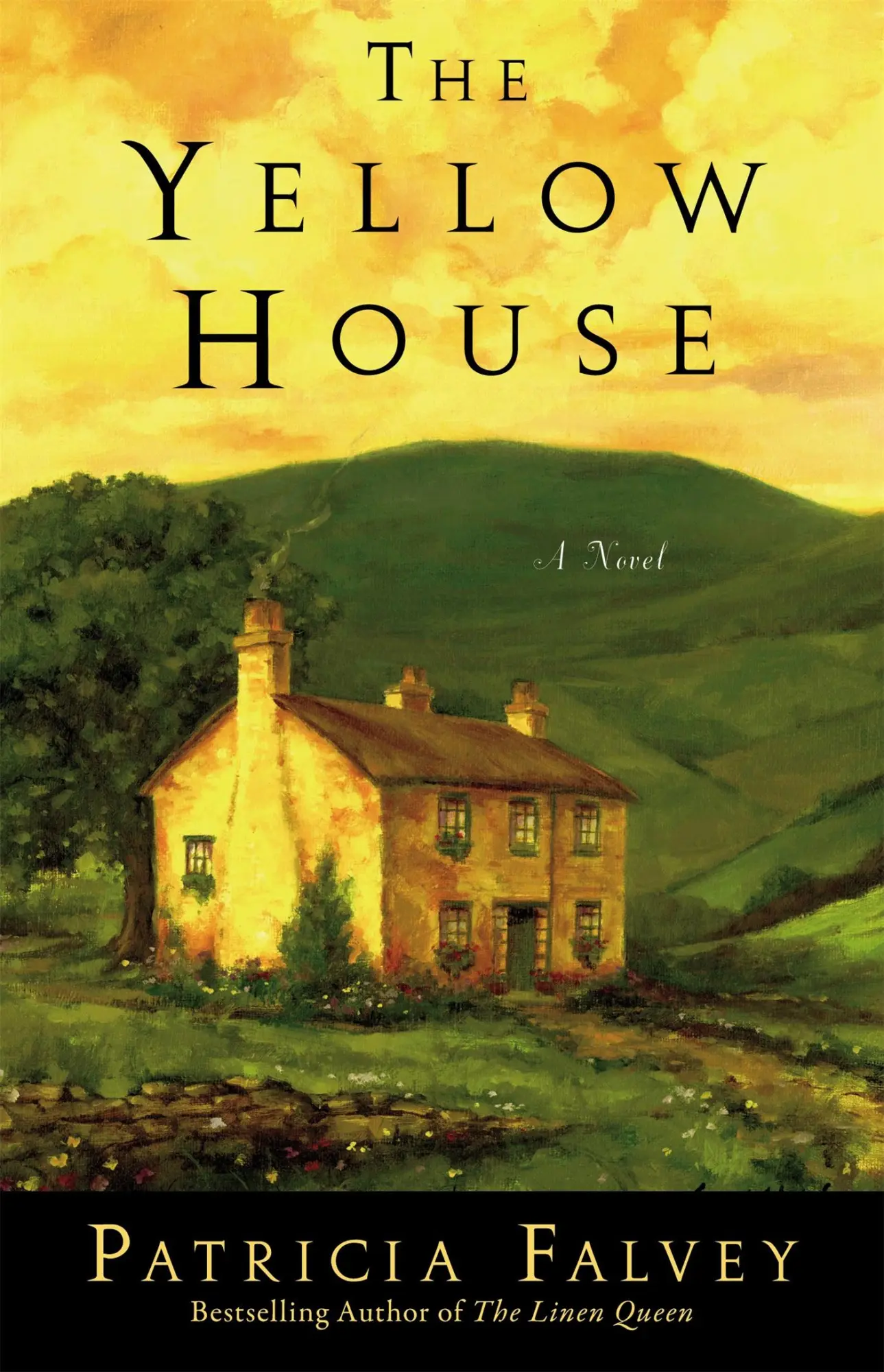 Cover: 9781599952024 | The Yellow House | Patricia Falvey | Taschenbuch | Englisch | 2011