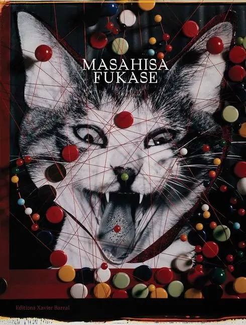 Cover: 9782365112024 | Masahisa Fukase | Tomo Kosuga | Buch | Gebunden | Englisch | 2018