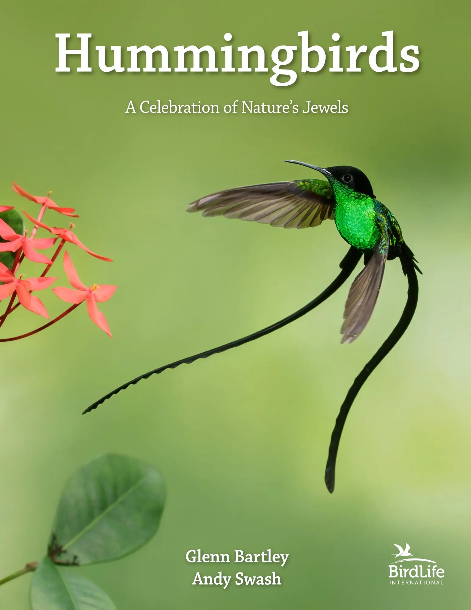 Cover: 9780691182124 | Hummingbirds | A Celebration of Nature's Jewels | Bartley (u. a.) Cover: 9780691182124 | Hummingbirds | A Celebration of Nature's Jewels | Bartley (u. a.)