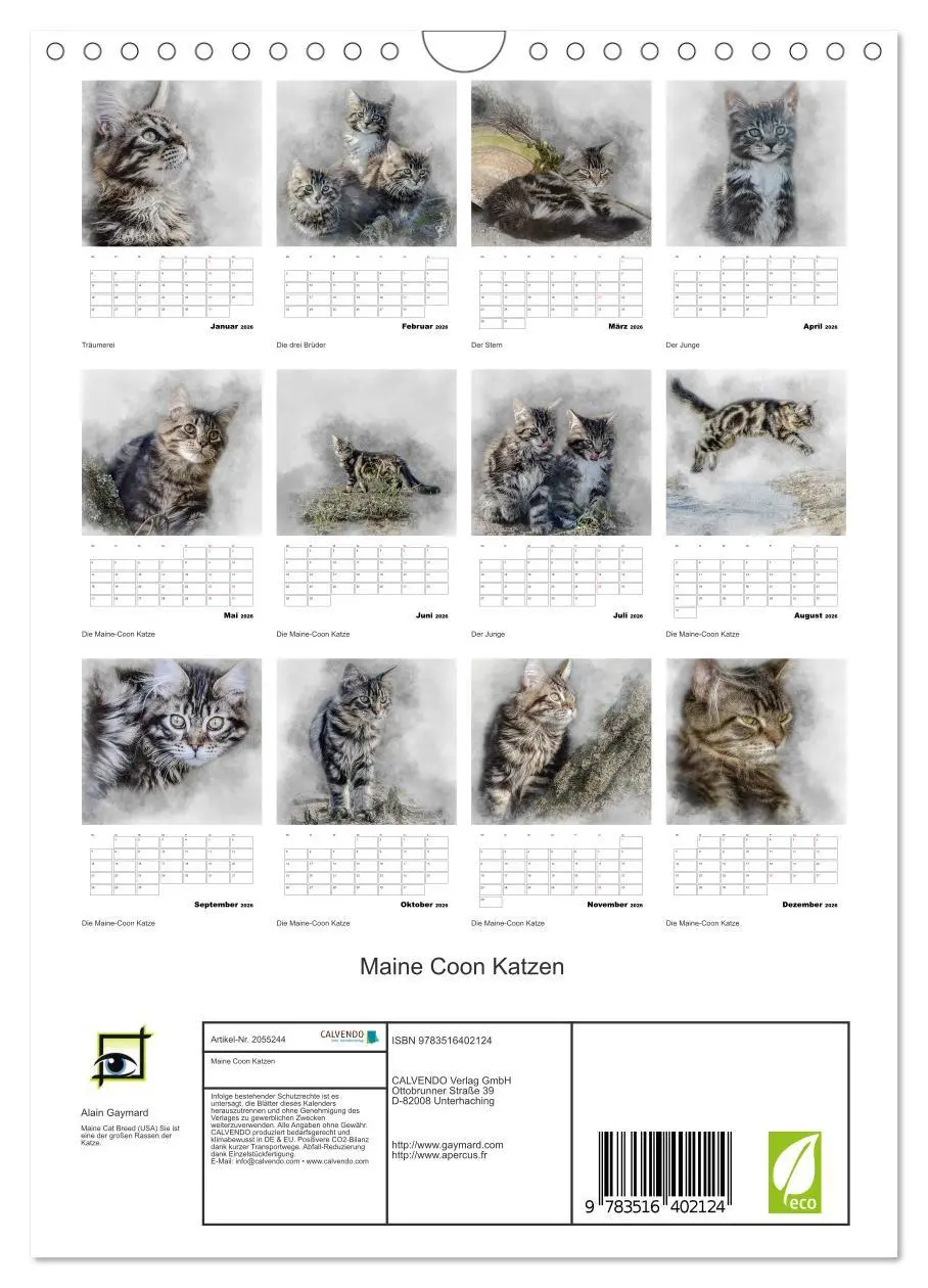 Bild: 9783516402124 | Maine Coon Katzen (Wandkalender 2026 DIN A4 hoch), CALVENDO...