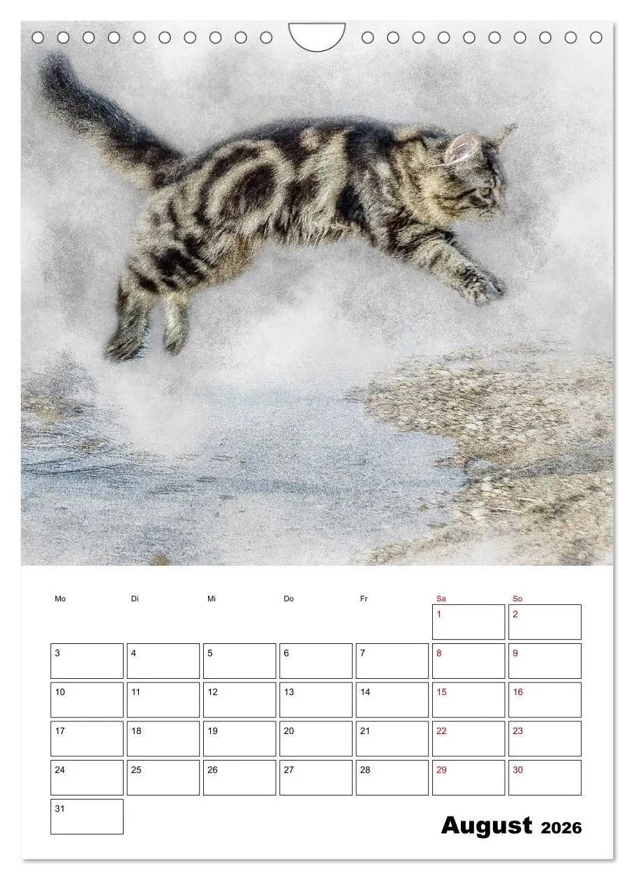 Bild: 9783516402124 | Maine Coon Katzen (Wandkalender 2026 DIN A4 hoch), CALVENDO...
