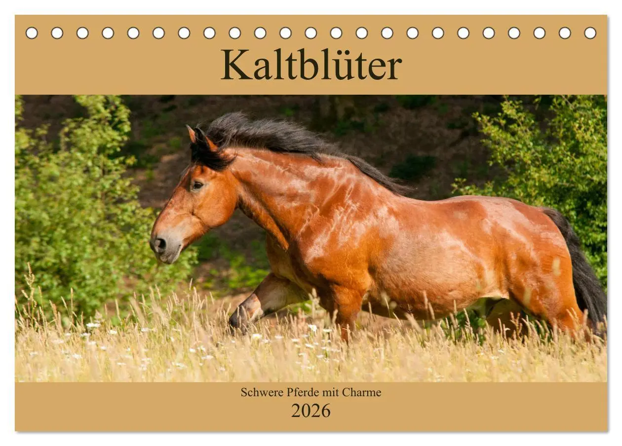 Cover: 9783457922224 | Kaltblüter - Schwere Pferde mit Charme (Tischkalender 2026 DIN A5...