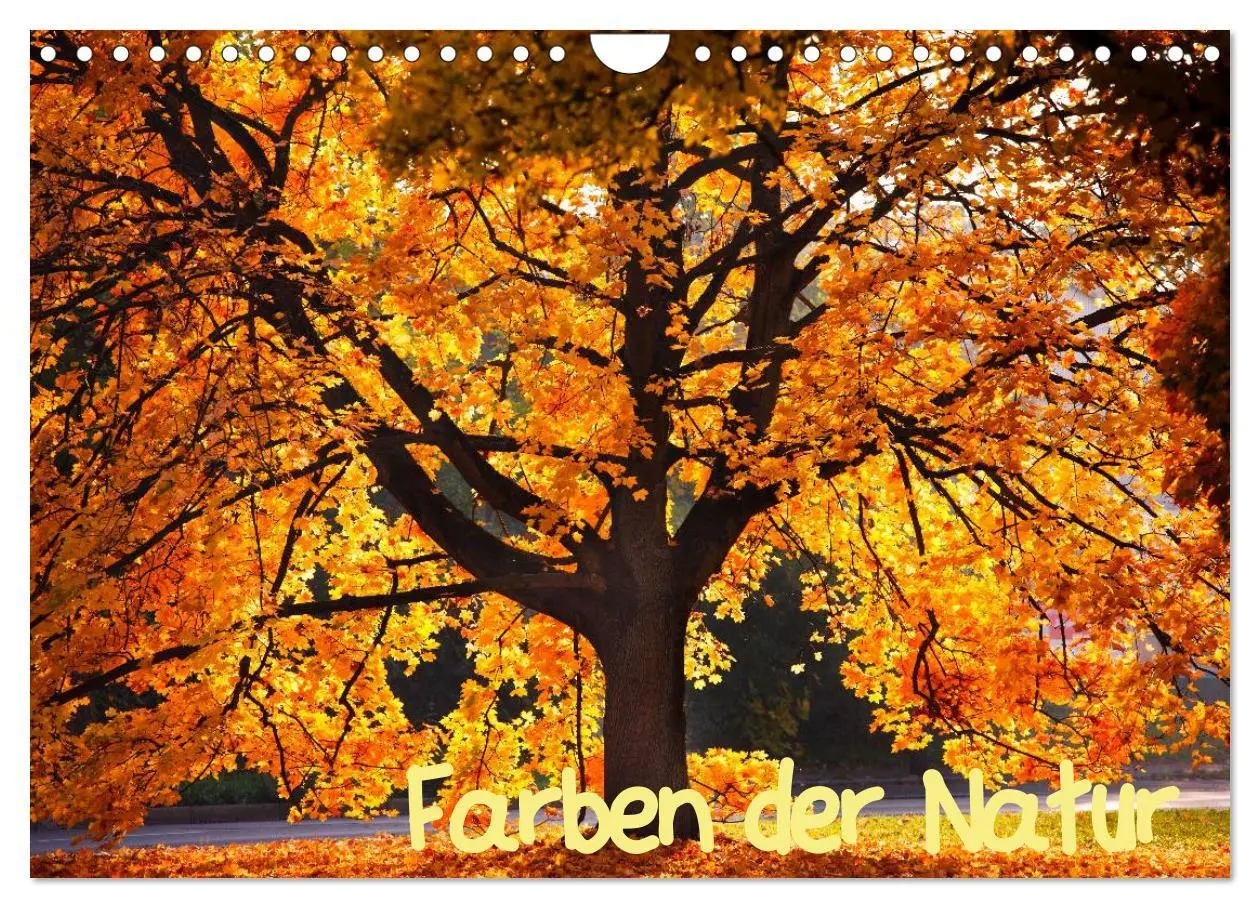 Cover: 9783516182224 | Farben der Natur (Wandkalender 2026 DIN A4 quer), CALVENDO...