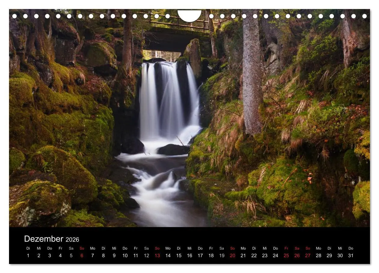 Bild: 9783516182224 | Farben der Natur (Wandkalender 2026 DIN A4 quer), CALVENDO...