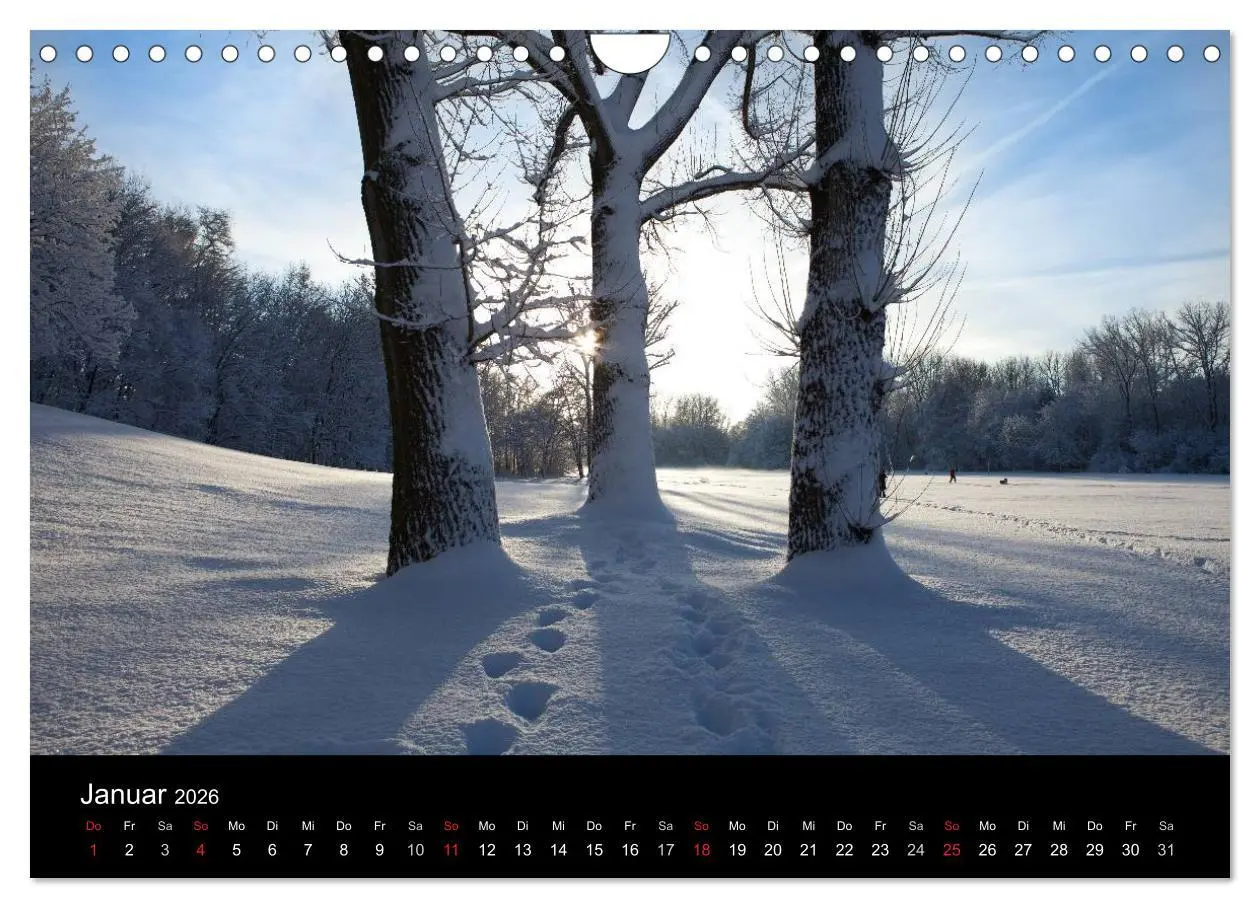 Bild: 9783516182224 | Farben der Natur (Wandkalender 2026 DIN A4 quer), CALVENDO...