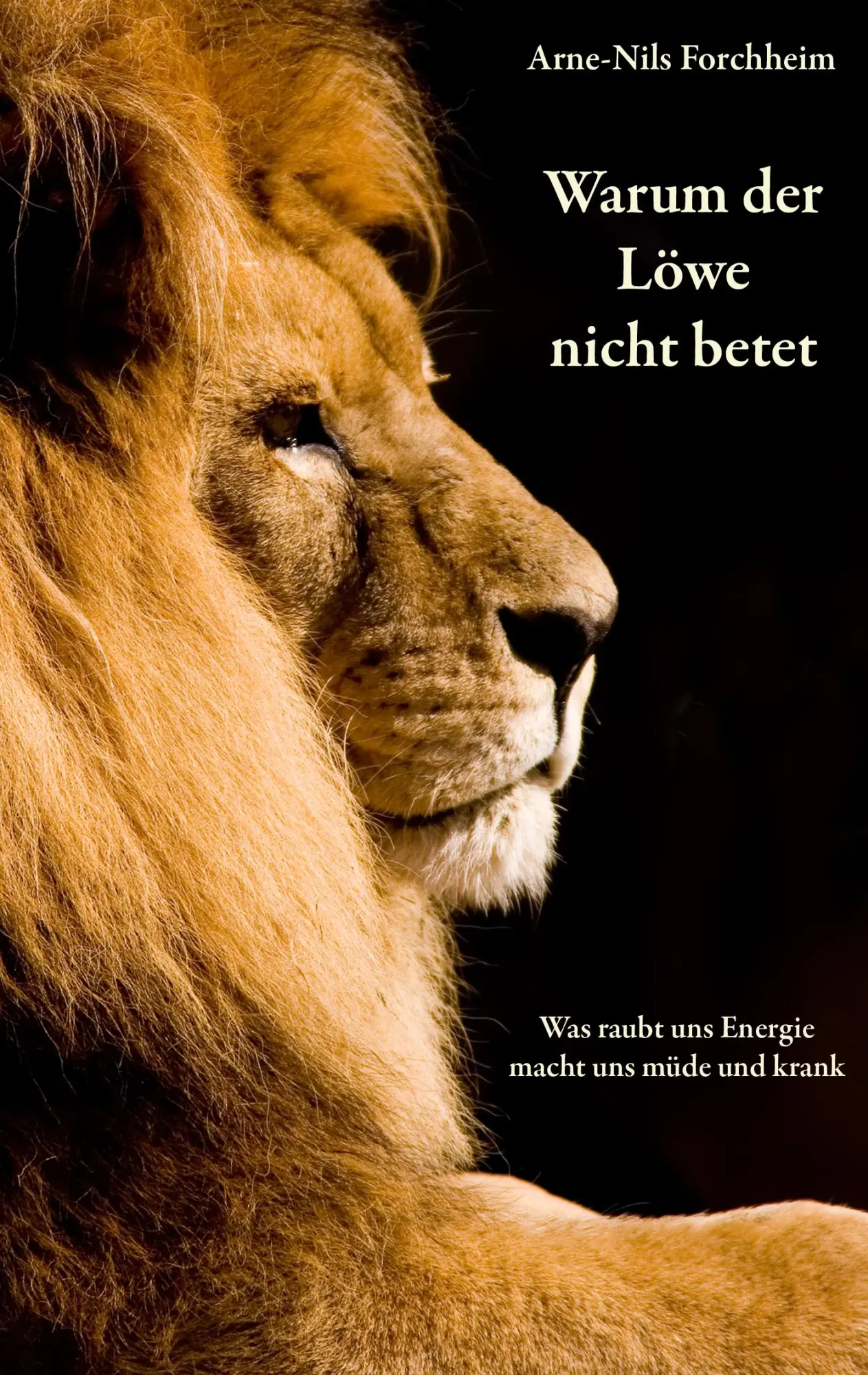 Cover: 9783837012224 | Warum der Löwe nicht betet | Was macht uns müde, krank und lustlos