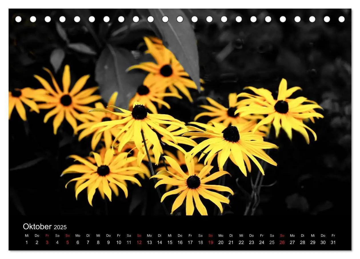 Bild: 9783435752324 | schwarz/weiß trifft farbe (Tischkalender 2025 DIN A5 quer),...