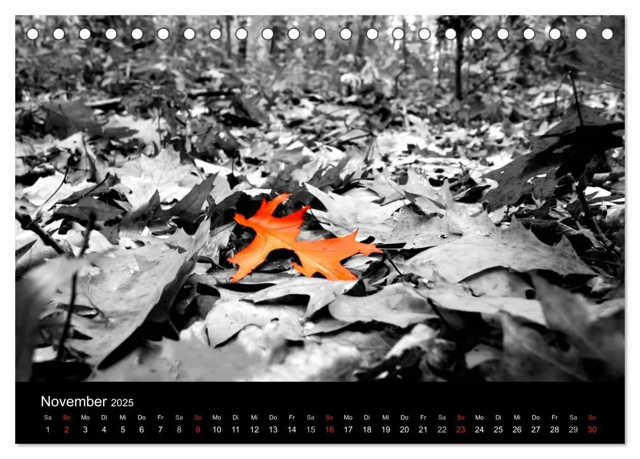 Bild: 9783435752324 | schwarz/weiß trifft farbe (Tischkalender 2025 DIN A5 quer),...
