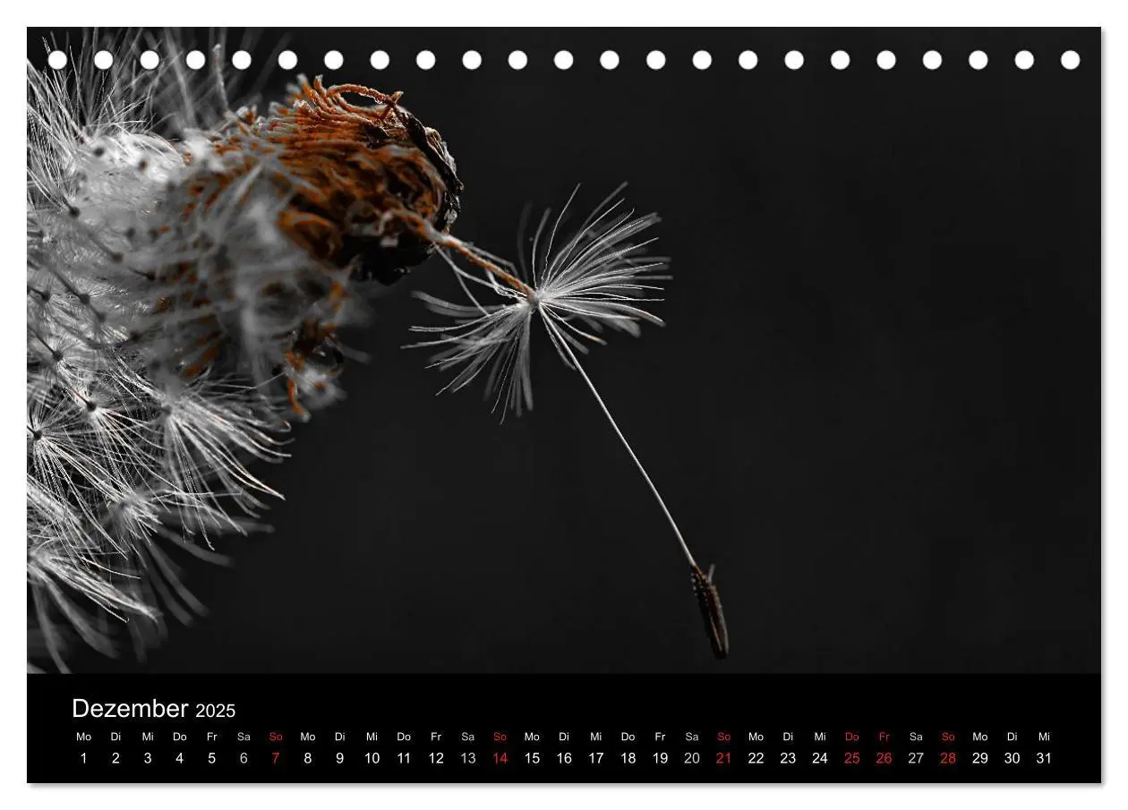 Bild: 9783435752324 | schwarz/weiß trifft farbe (Tischkalender 2025 DIN A5 quer),...