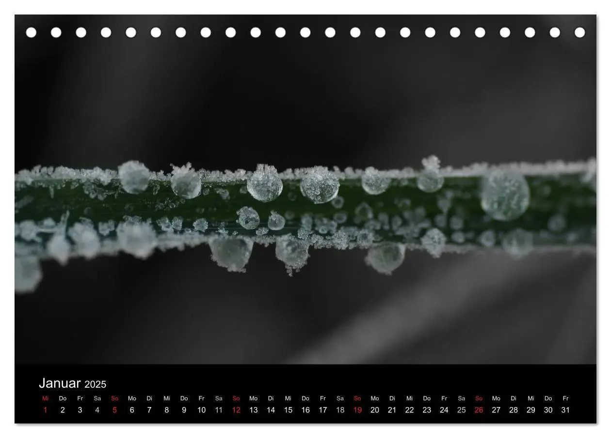 Bild: 9783435752324 | schwarz/weiß trifft farbe (Tischkalender 2025 DIN A5 quer),...