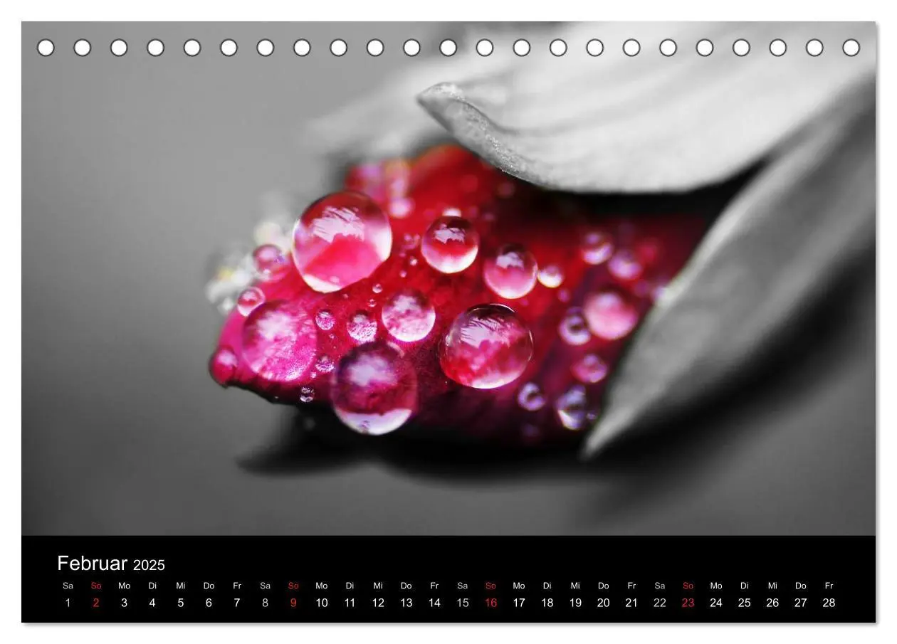 Bild: 9783435752324 | schwarz/weiß trifft farbe (Tischkalender 2025 DIN A5 quer),...