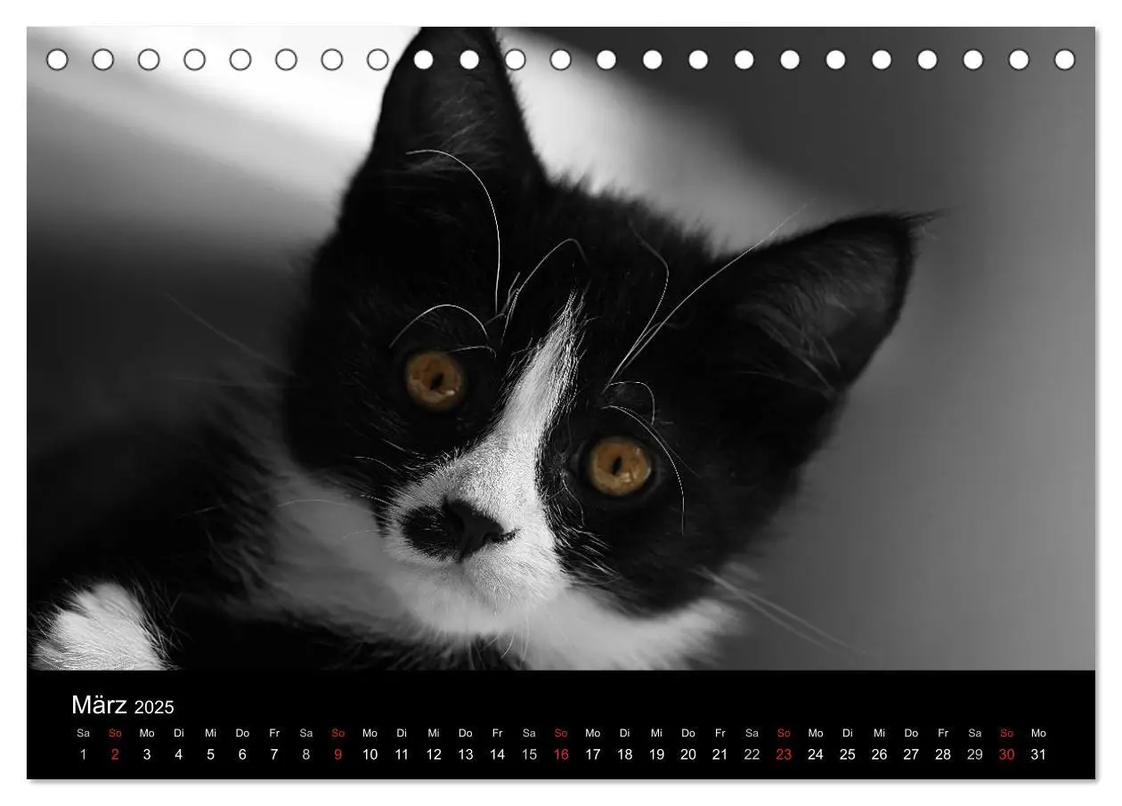 Bild: 9783435752324 | schwarz/weiß trifft farbe (Tischkalender 2025 DIN A5 quer),...