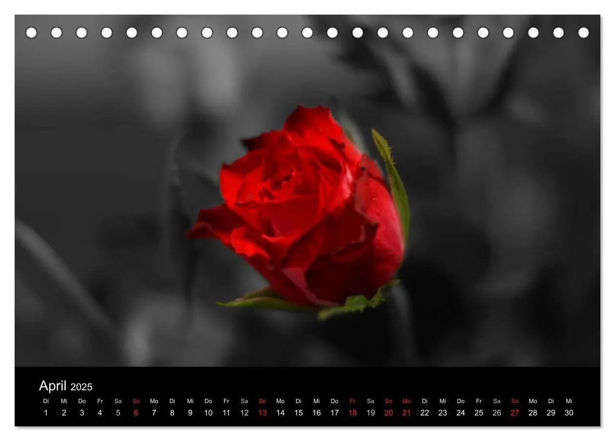 Bild: 9783435752324 | schwarz/weiß trifft farbe (Tischkalender 2025 DIN A5 quer),...