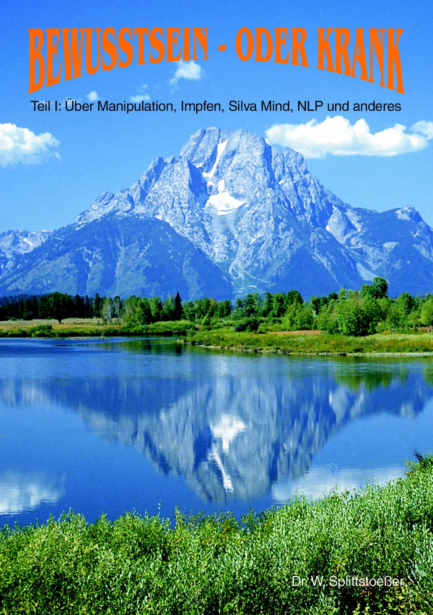 Cover: 9783934022324 | Bewußt sein oder Krank Teil 1 | Wulf Splittstoeßer | Taschenbuch