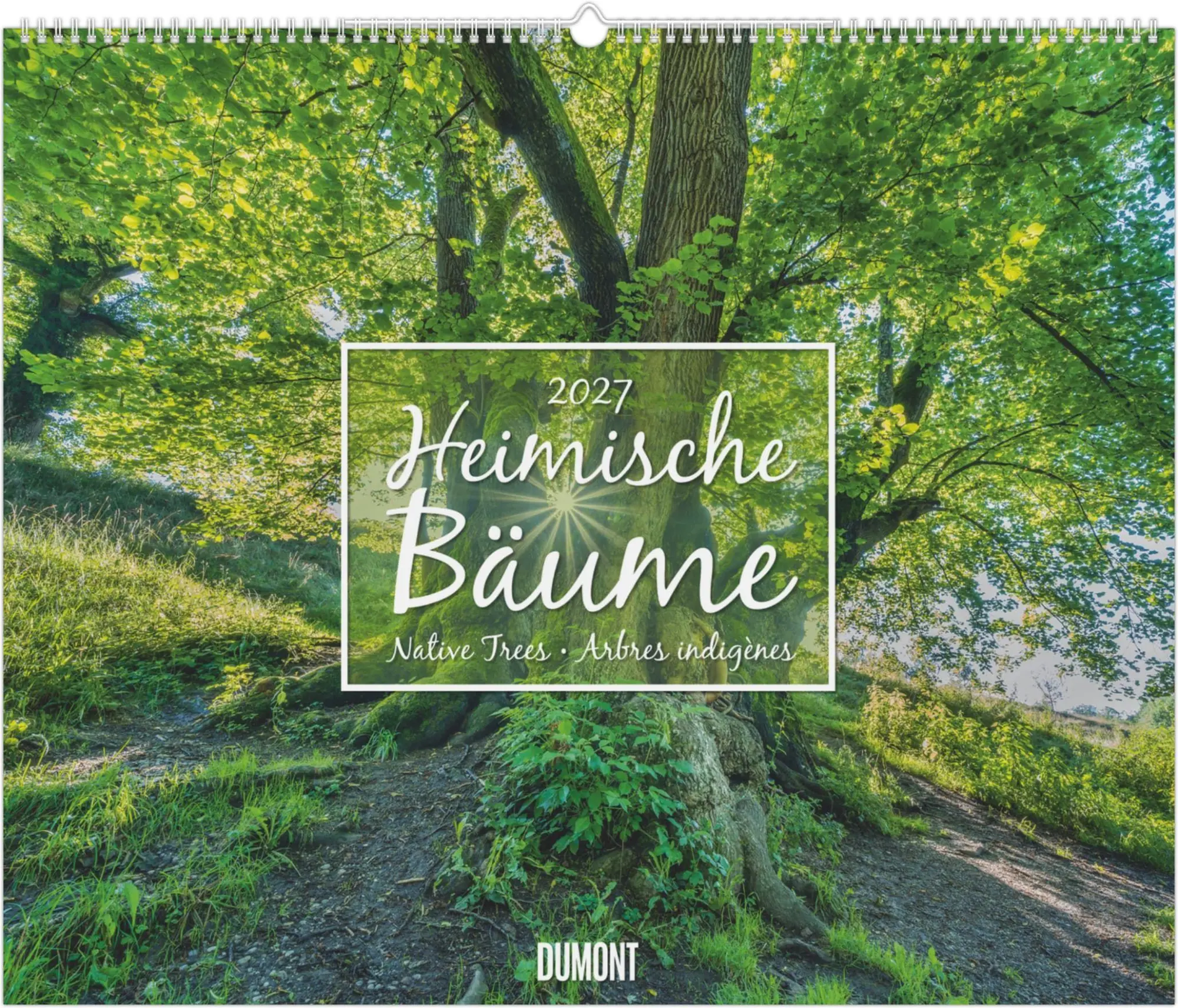Cover: 4069095012424 | Heimische Bäume 2027 | Neumann Verlage GmbH &amp; Co KG | Kalender | 14 S.