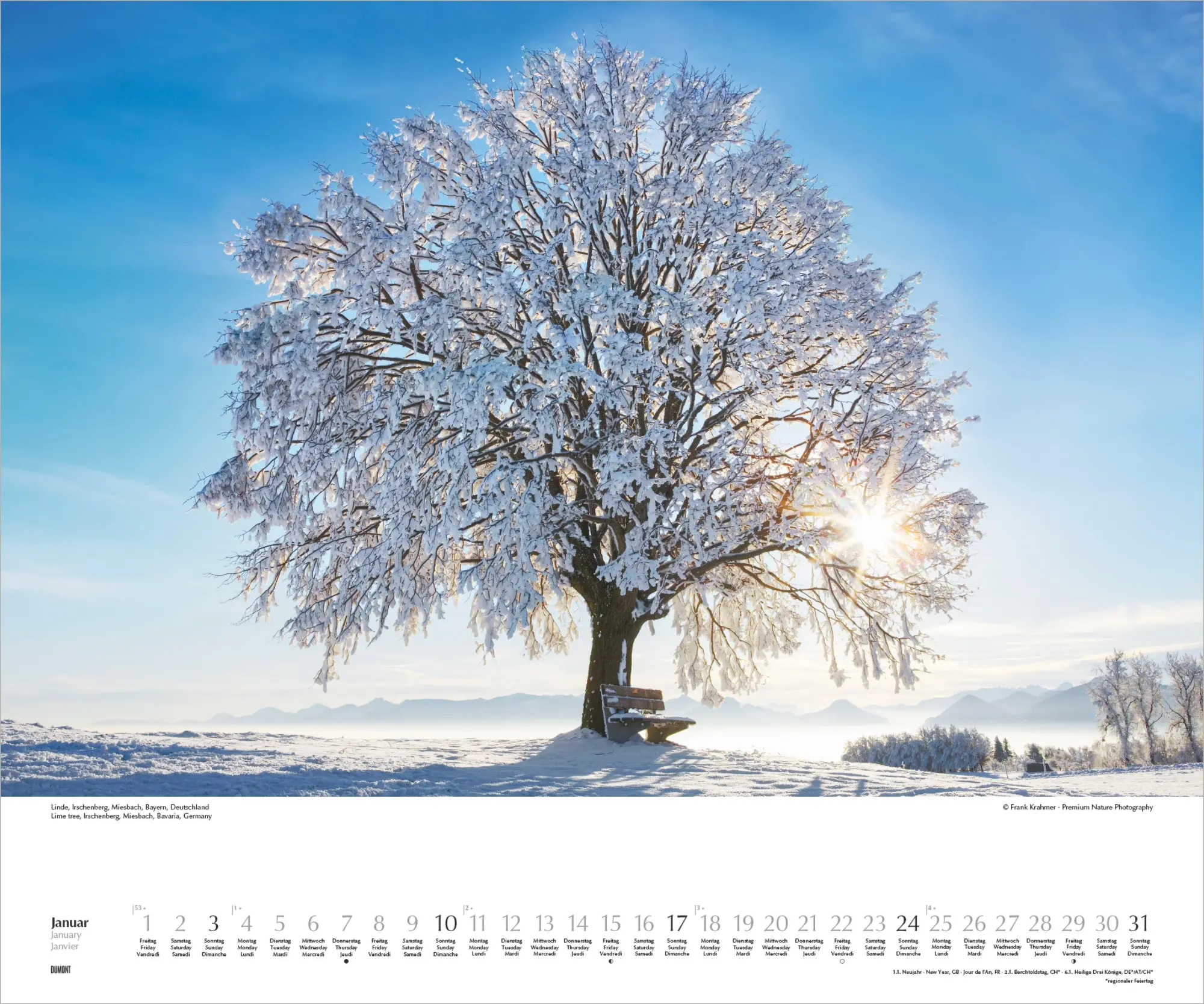 Bild: 4069095012424 | Heimische Bäume 2027 | Neumann Verlage GmbH &amp; Co KG | Kalender | 14 S.