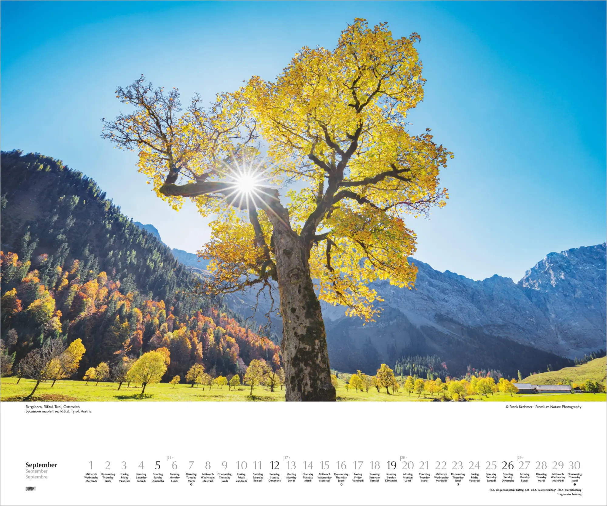 Bild: 4069095012424 | Heimische Bäume 2027 | Neumann Verlage GmbH &amp; Co KG | Kalender | 14 S.