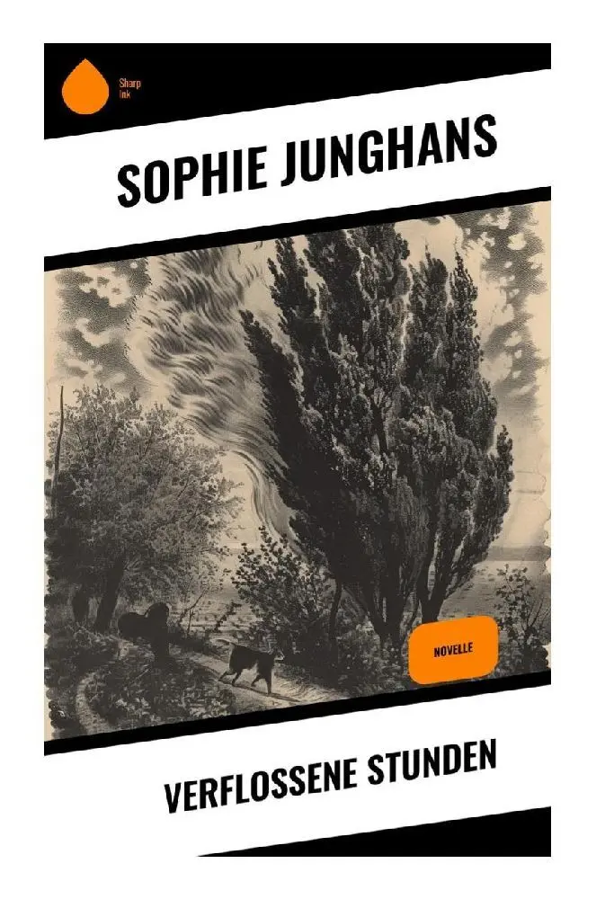Cover: 9788028352424 | Verflossene Stunden | Novelle | Sophie Junghans | Taschenbuch