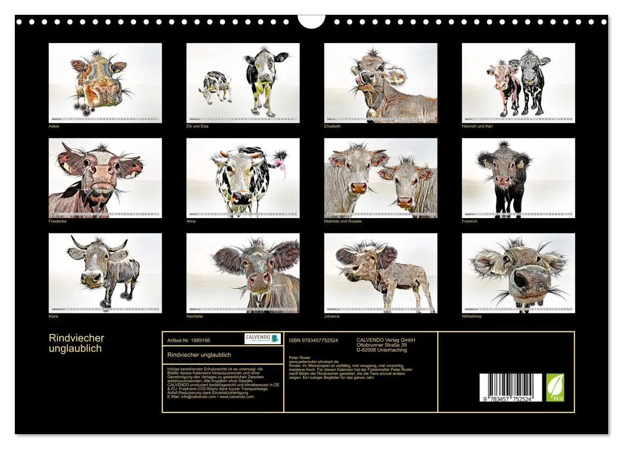 Bild: 9783457752524 | Rindviecher unglaublich (Wandkalender 2026 DIN A3 quer), CALVENDO...