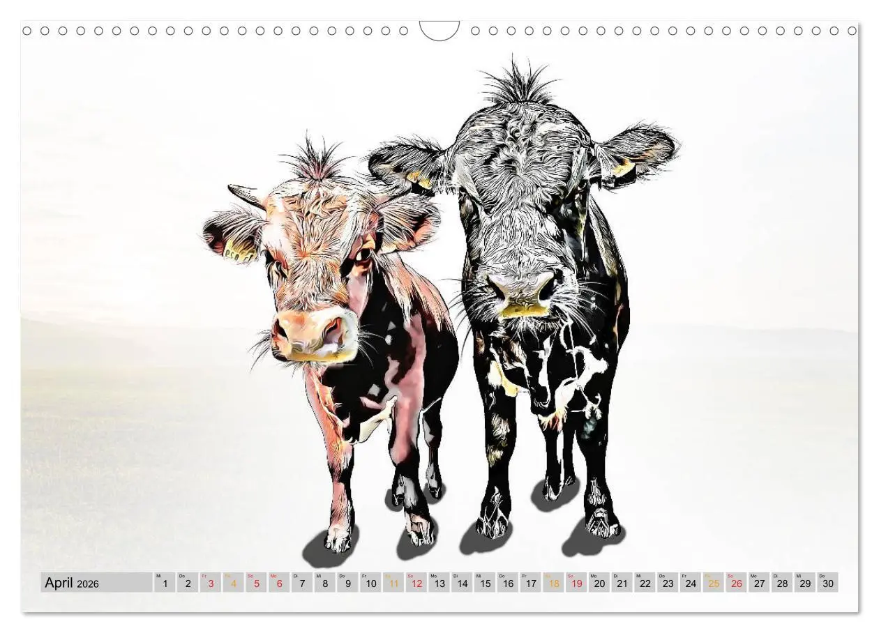 Bild: 9783457752524 | Rindviecher unglaublich (Wandkalender 2026 DIN A3 quer), CALVENDO...