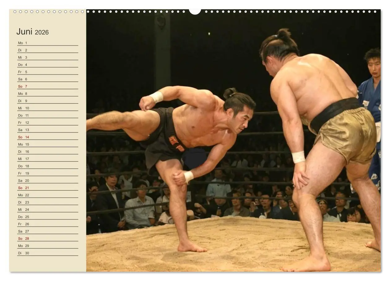 Bild: 9783457362624 | KI Sumo-Kämpfer Im Ring der Giganten (hochwertiger Premium...
