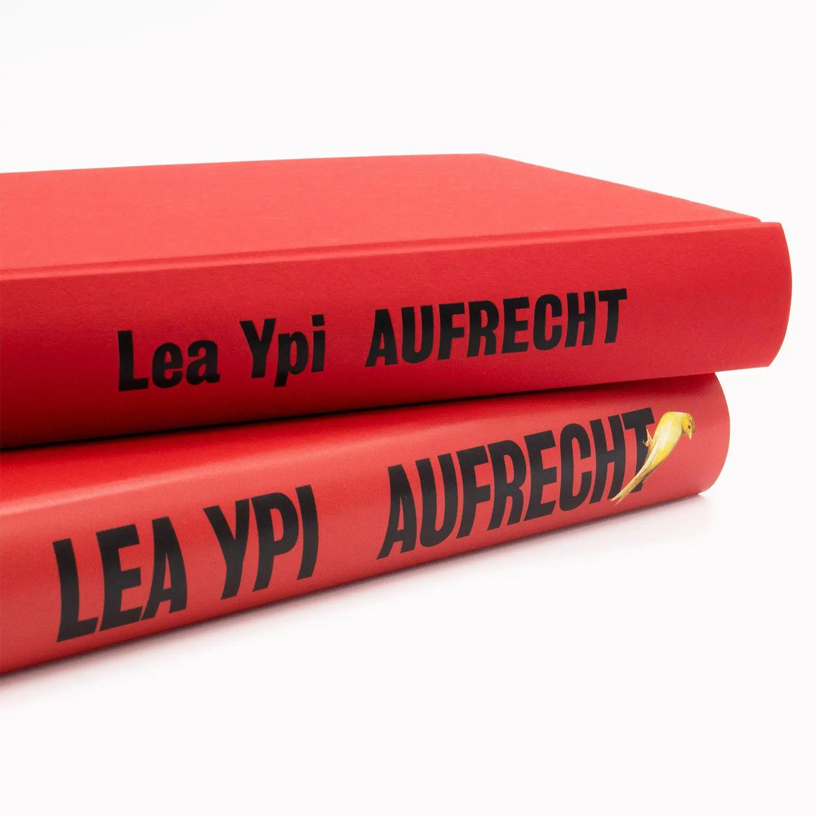 Bild: 9783518432624 | Aufrecht | Lea Ypi | Buch | 389 S. | Deutsch | 2025 | Suhrkamp Verlag