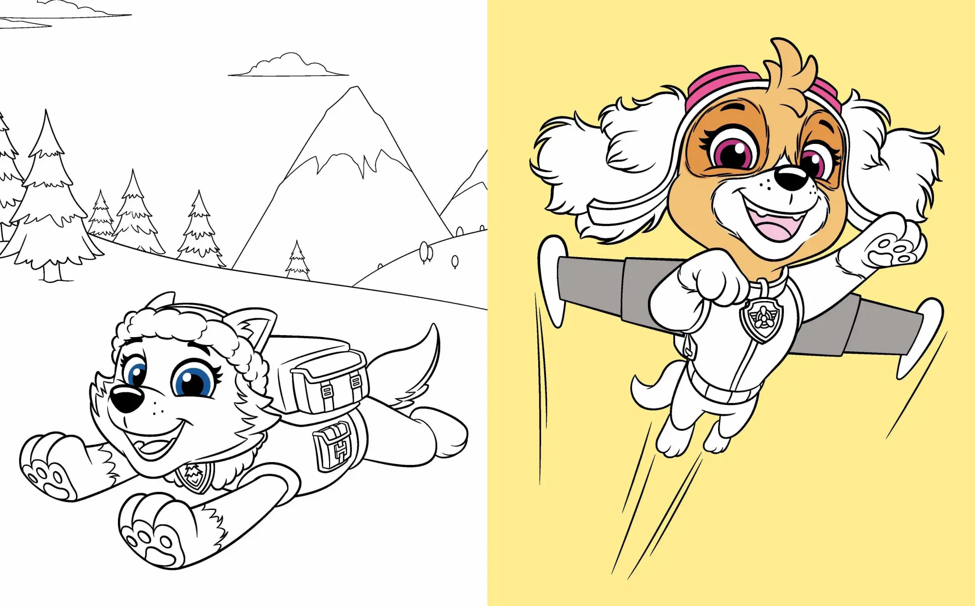 Bild: 9783849952624 | PAW Patrol Meine Bücher-Dose | Taschenbuch | 2 S. | Deutsch | 2026