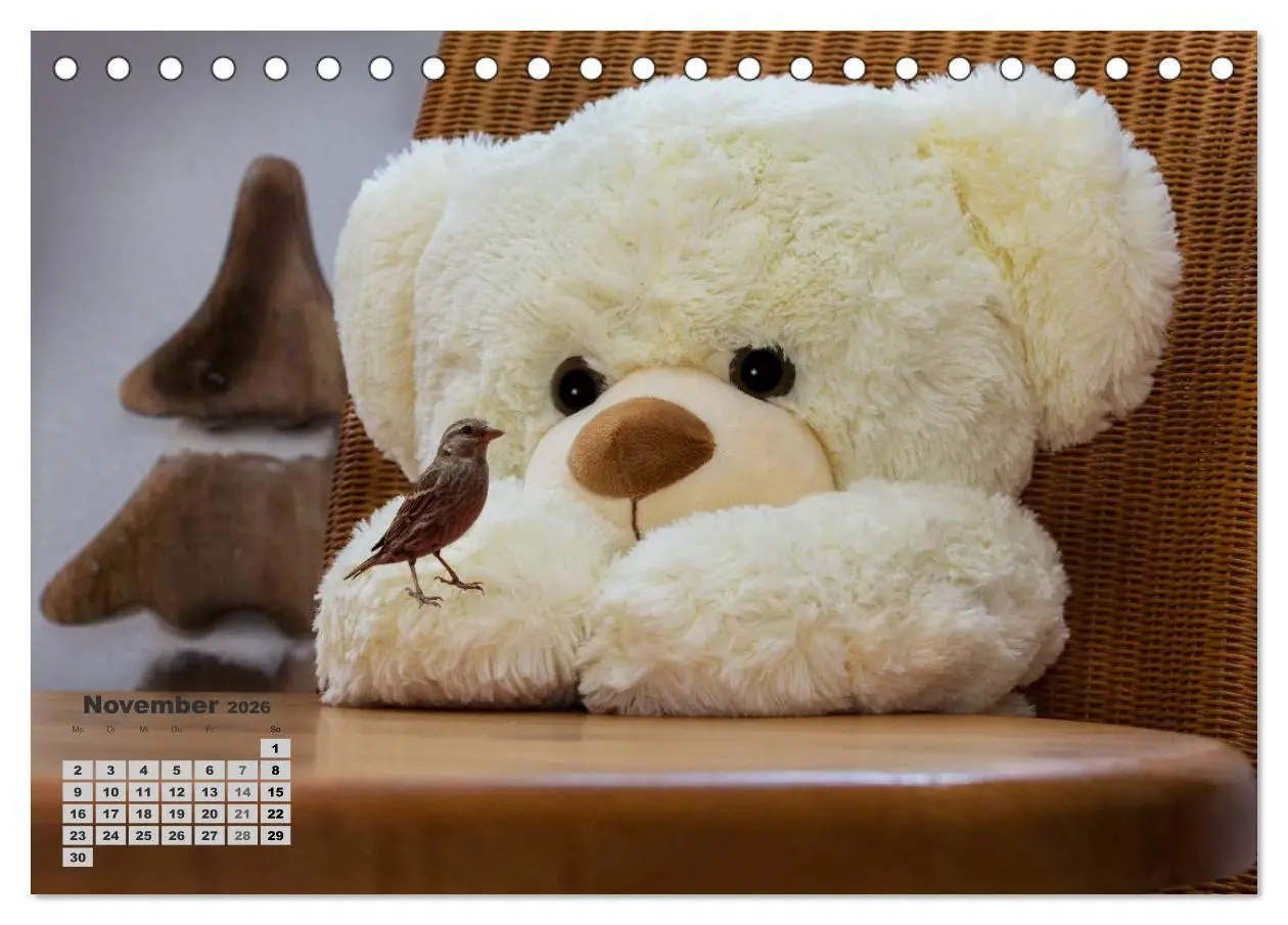 Bild: 9783457972724 | Teddys, wollen wir Kalender anschauen? (Tischkalender 2026 DIN A5...