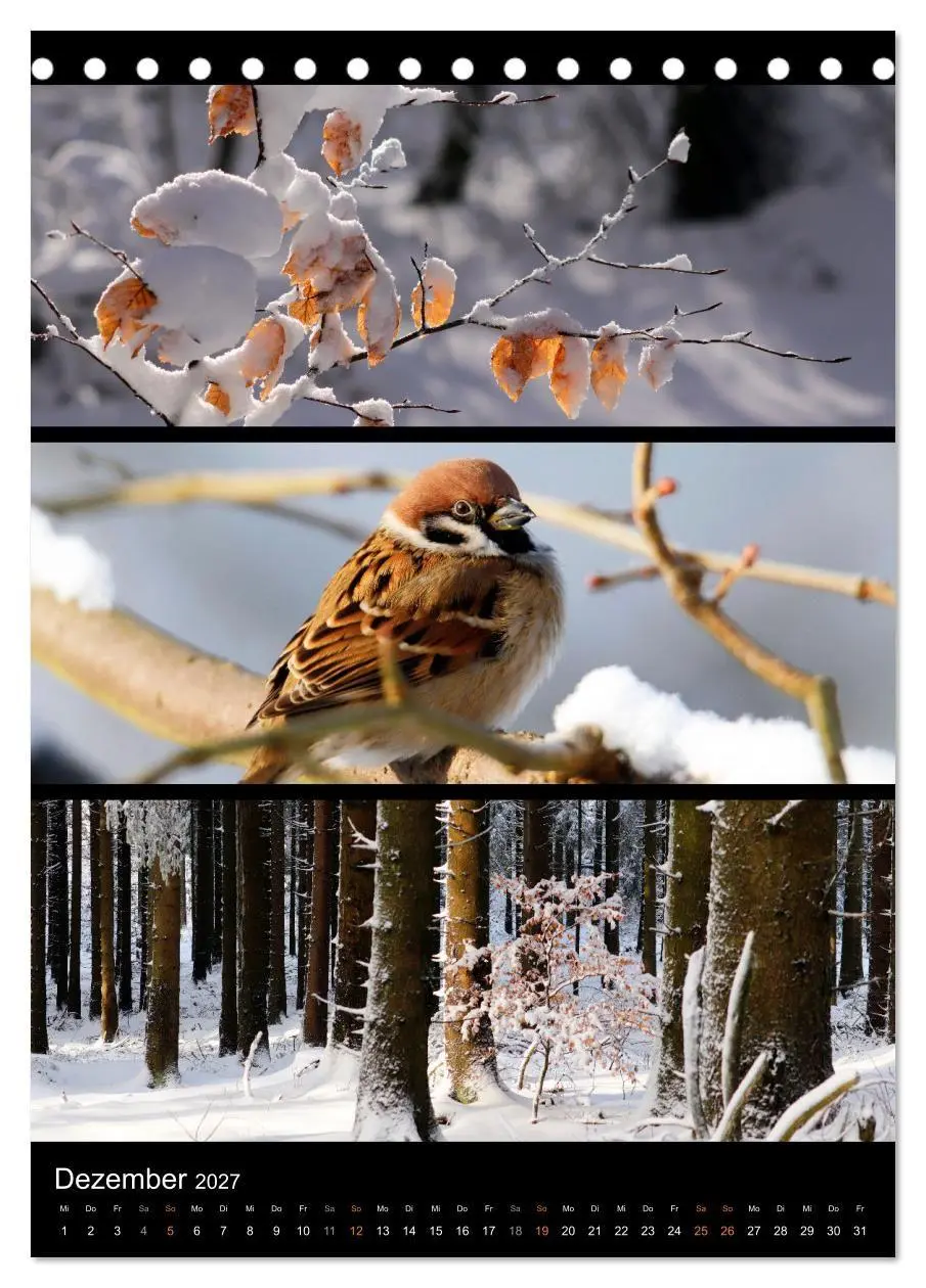 Bild: 9783569462724 | Bezaubernde Farben der Natur (Tischkalender 2027 DIN A5 hoch),...