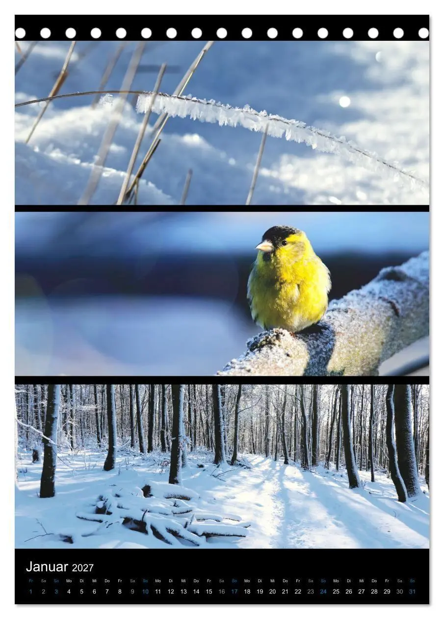 Bild: 9783569462724 | Bezaubernde Farben der Natur (Tischkalender 2027 DIN A5 hoch),...