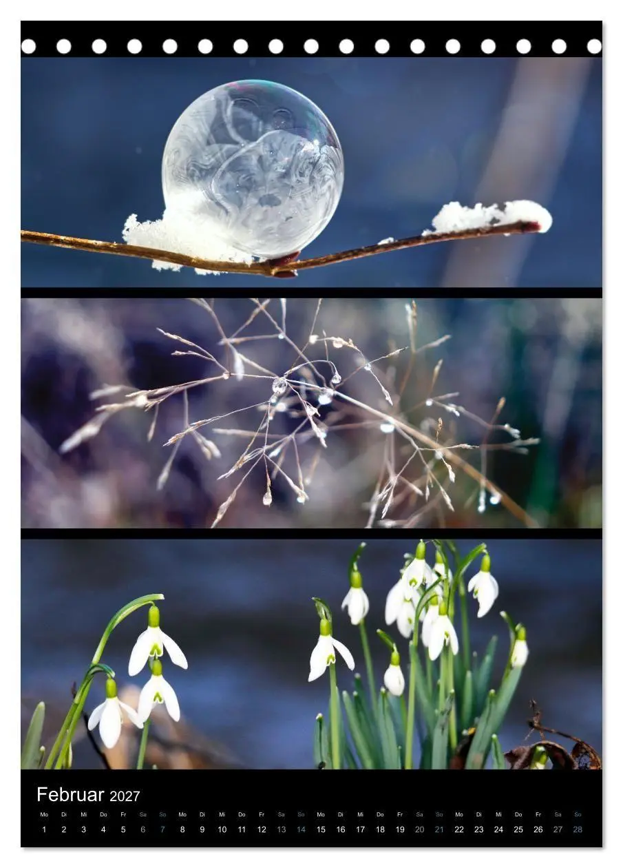 Bild: 9783569462724 | Bezaubernde Farben der Natur (Tischkalender 2027 DIN A5 hoch),...