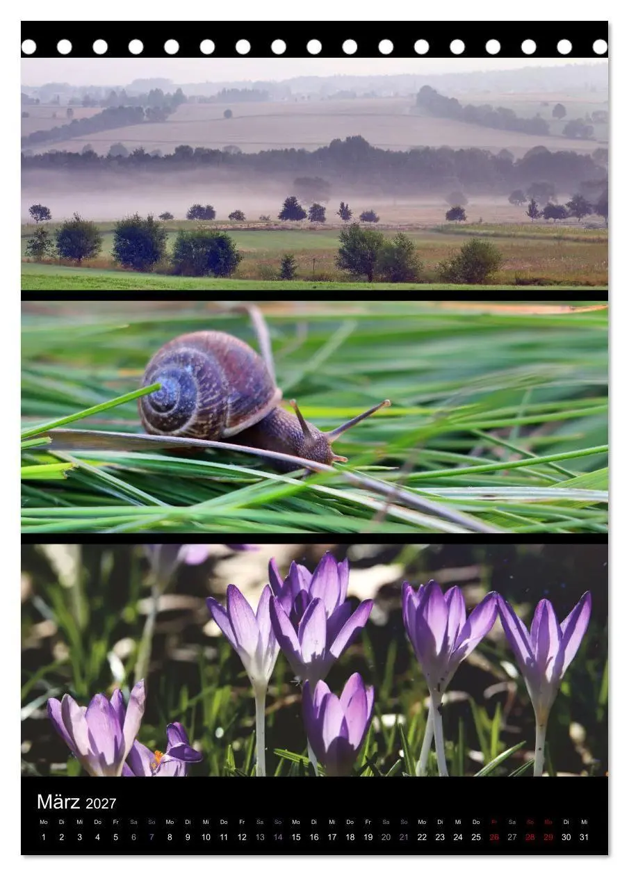 Bild: 9783569462724 | Bezaubernde Farben der Natur (Tischkalender 2027 DIN A5 hoch),...