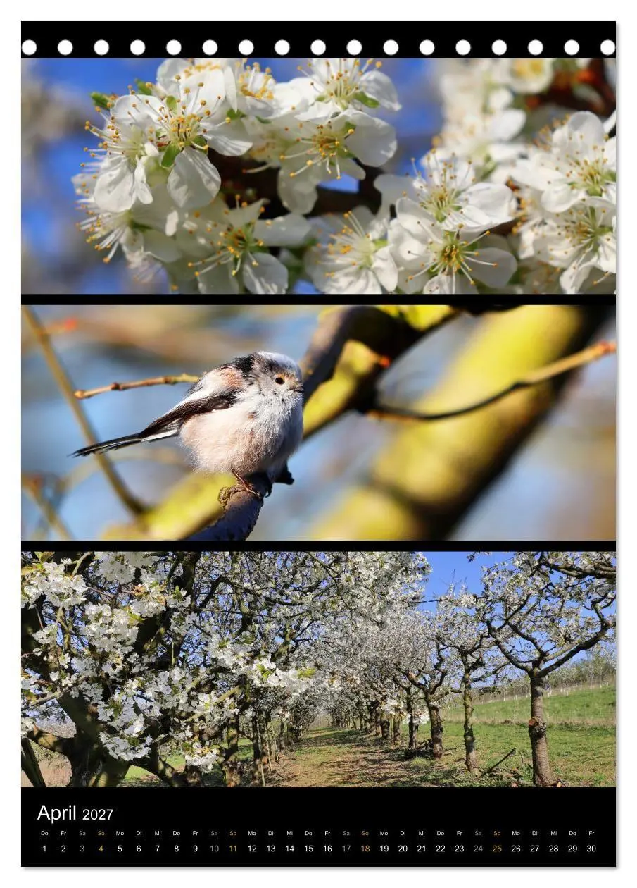Bild: 9783569462724 | Bezaubernde Farben der Natur (Tischkalender 2027 DIN A5 hoch),...