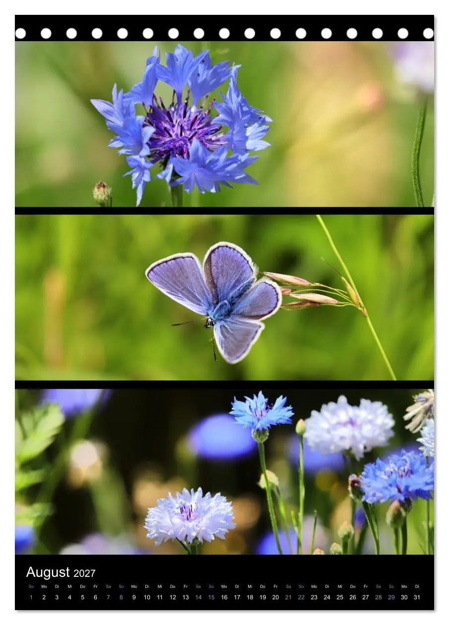 Bild: 9783569462724 | Bezaubernde Farben der Natur (Tischkalender 2027 DIN A5 hoch),...
