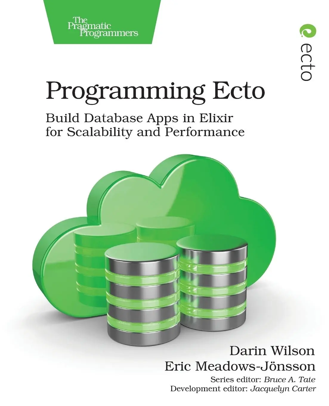 Cover: 9781680502824 | Programming Ecto | Darin Wilson (u. a.) | Taschenbuch | Englisch
