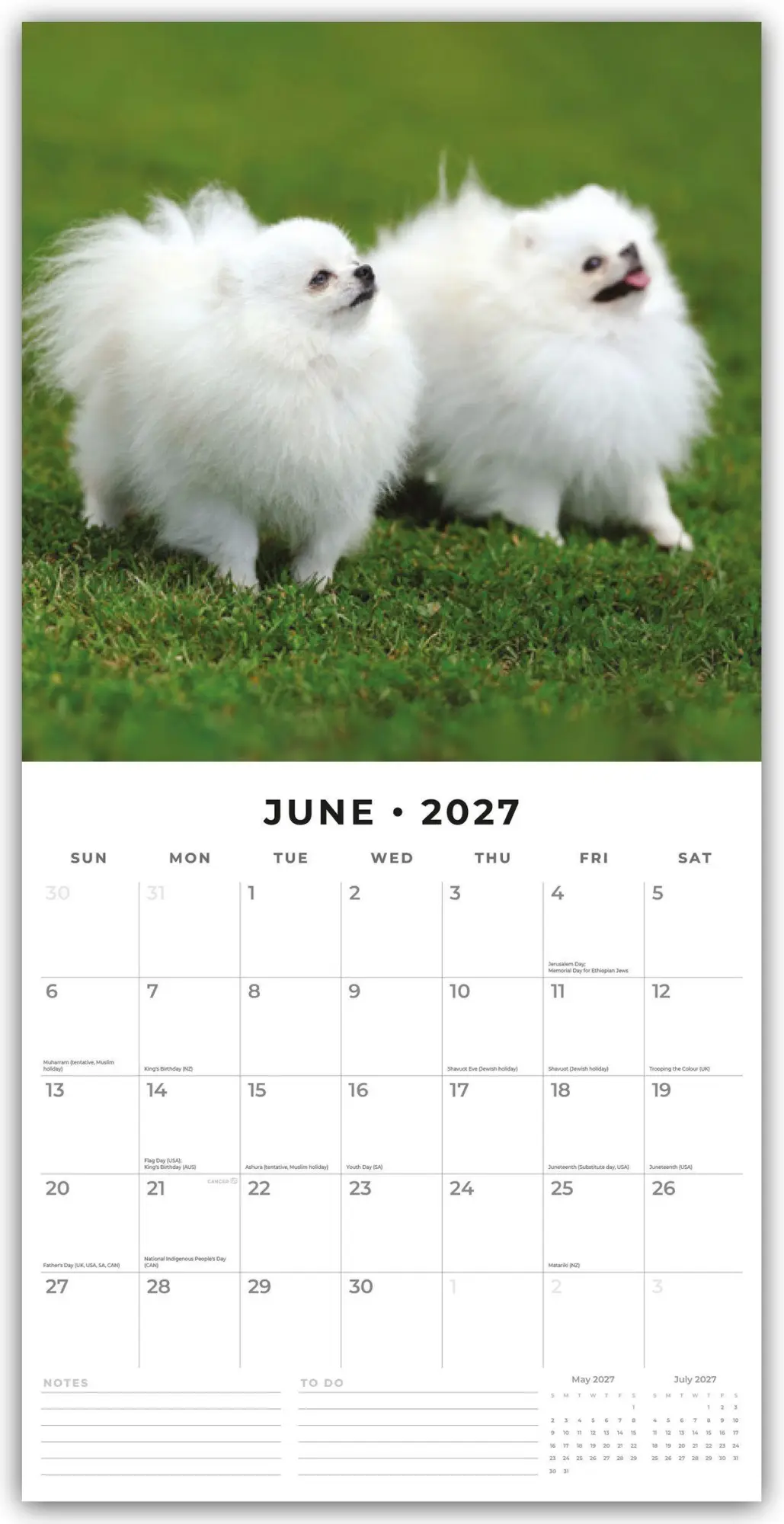 Bild: 9781837012824 | Pomeranians - Zwergspitz - Pomeranian Zwergspitz 2027 -...