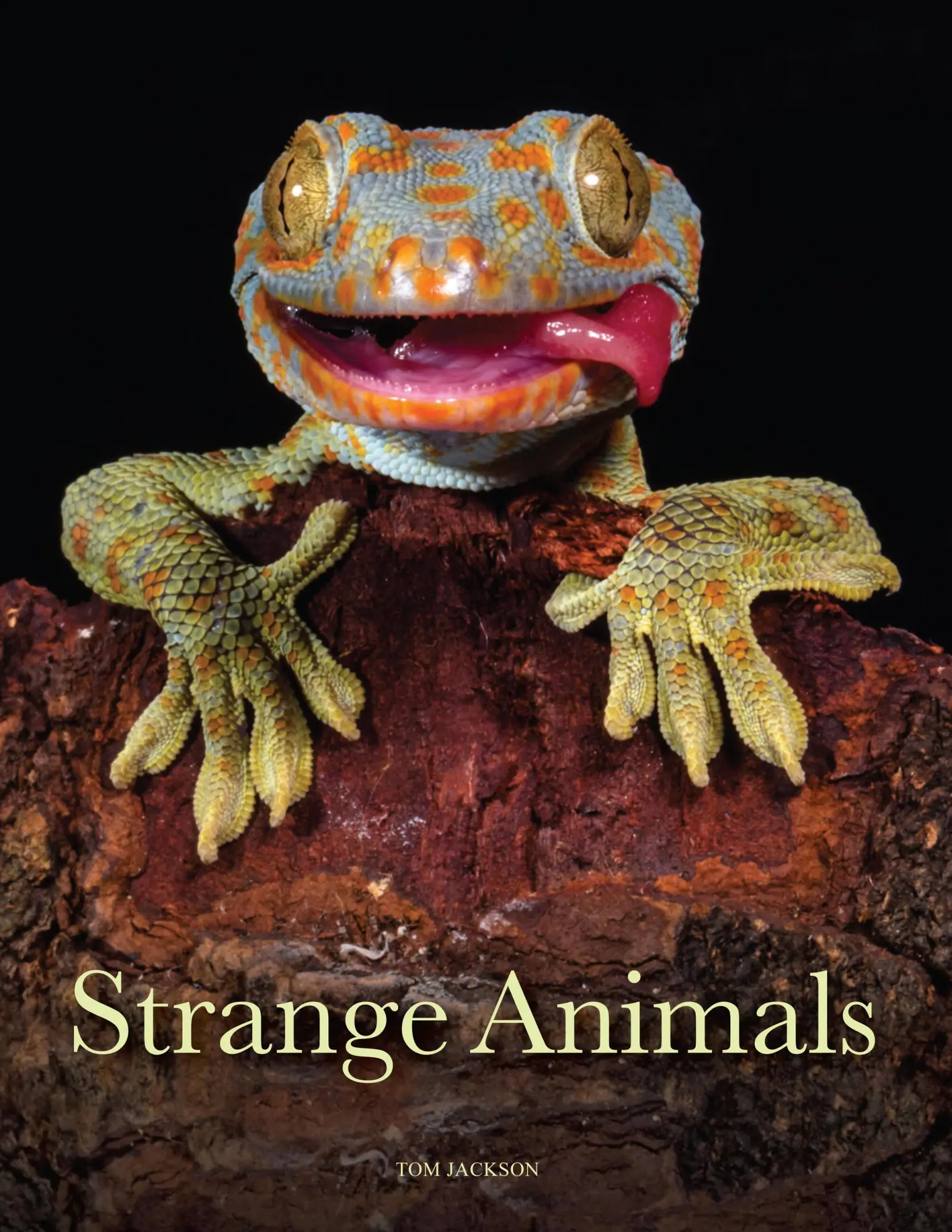Cover: 9781838862824 | Strange Animals | Tom Jackson | Buch | Gebunden | Englisch | 2023