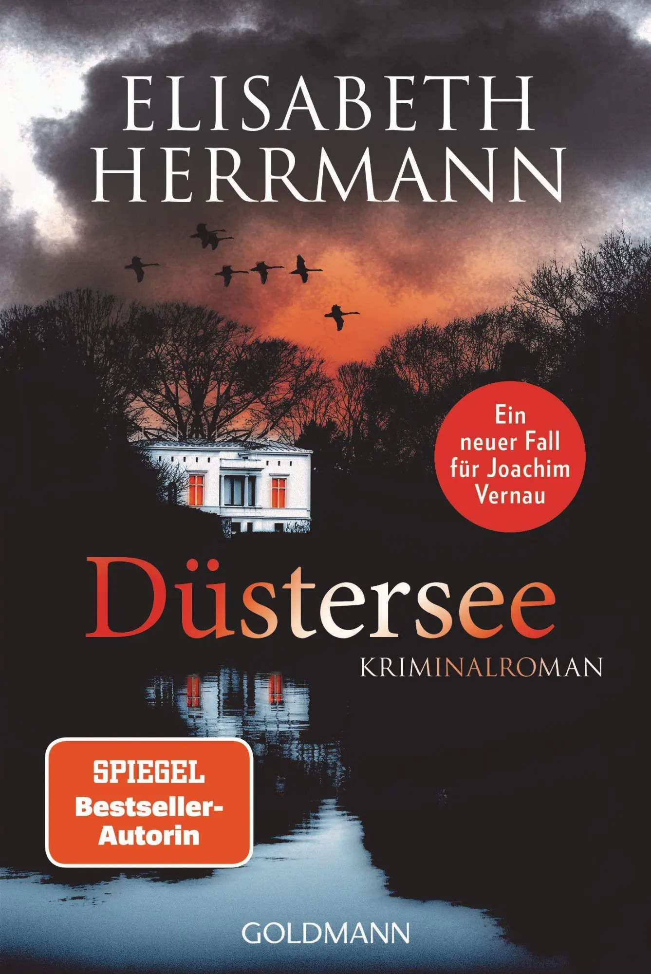 Cover: 9783442492824 | Düstersee | Kriminalroman | Elisabeth Herrmann | Taschenbuch | 464 S.