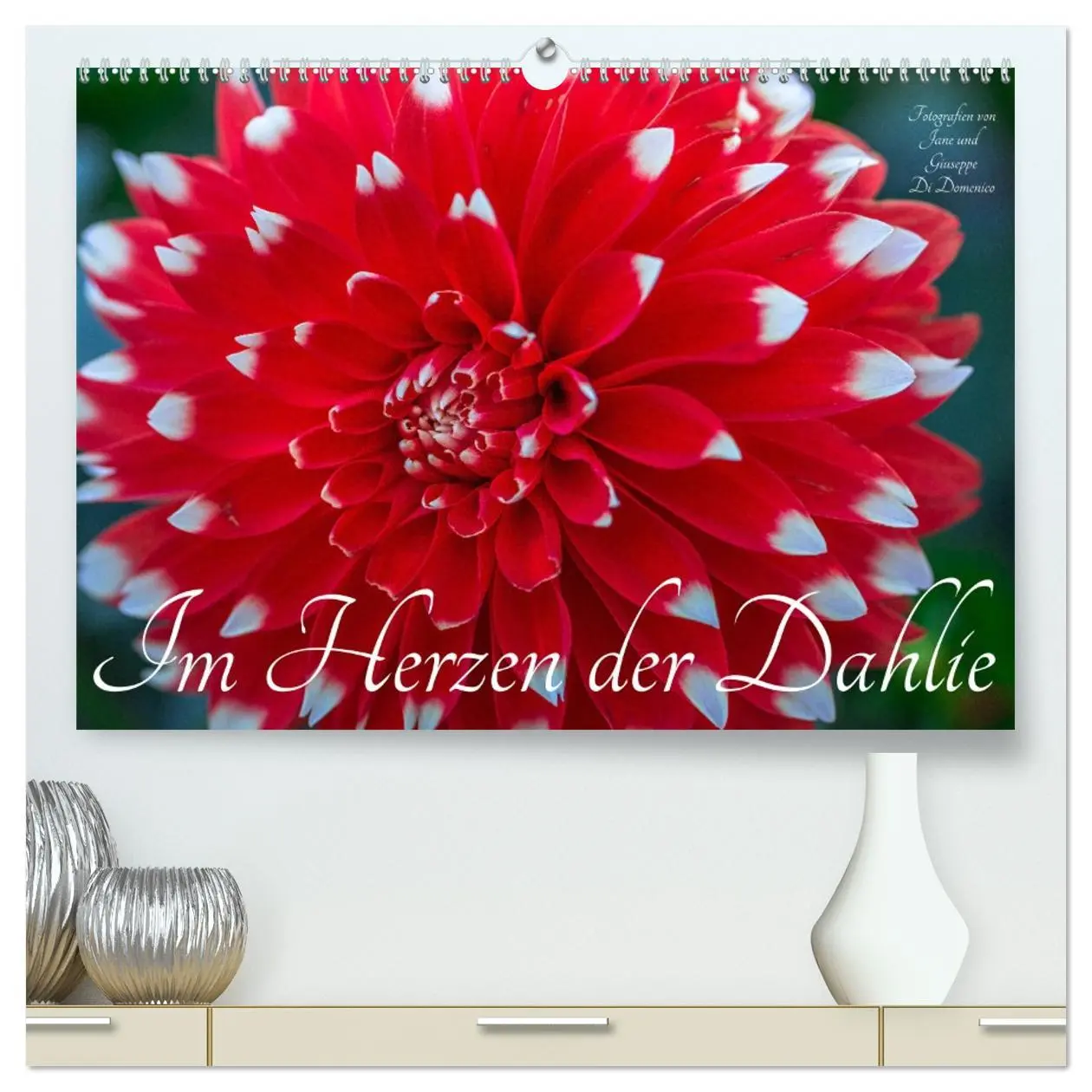 Cover: 9783457412824 | Im Herzen der Dahlie (hochwertiger Premium Wandkalender 2026 DIN A2...