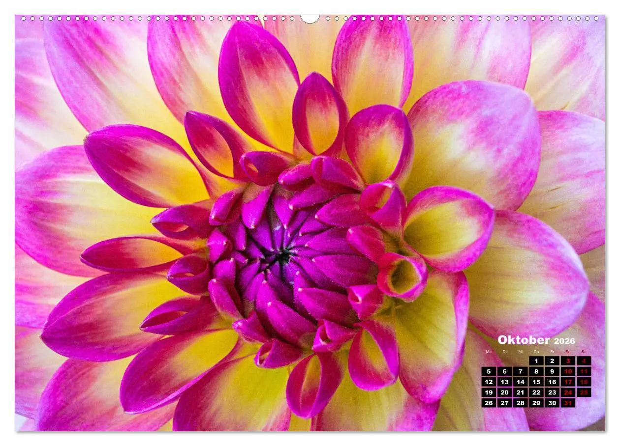 Bild: 9783457412824 | Im Herzen der Dahlie (hochwertiger Premium Wandkalender 2026 DIN A2...
