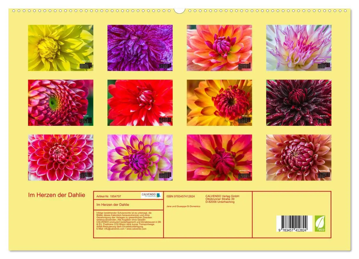 Bild: 9783457412824 | Im Herzen der Dahlie (hochwertiger Premium Wandkalender 2026 DIN A2...