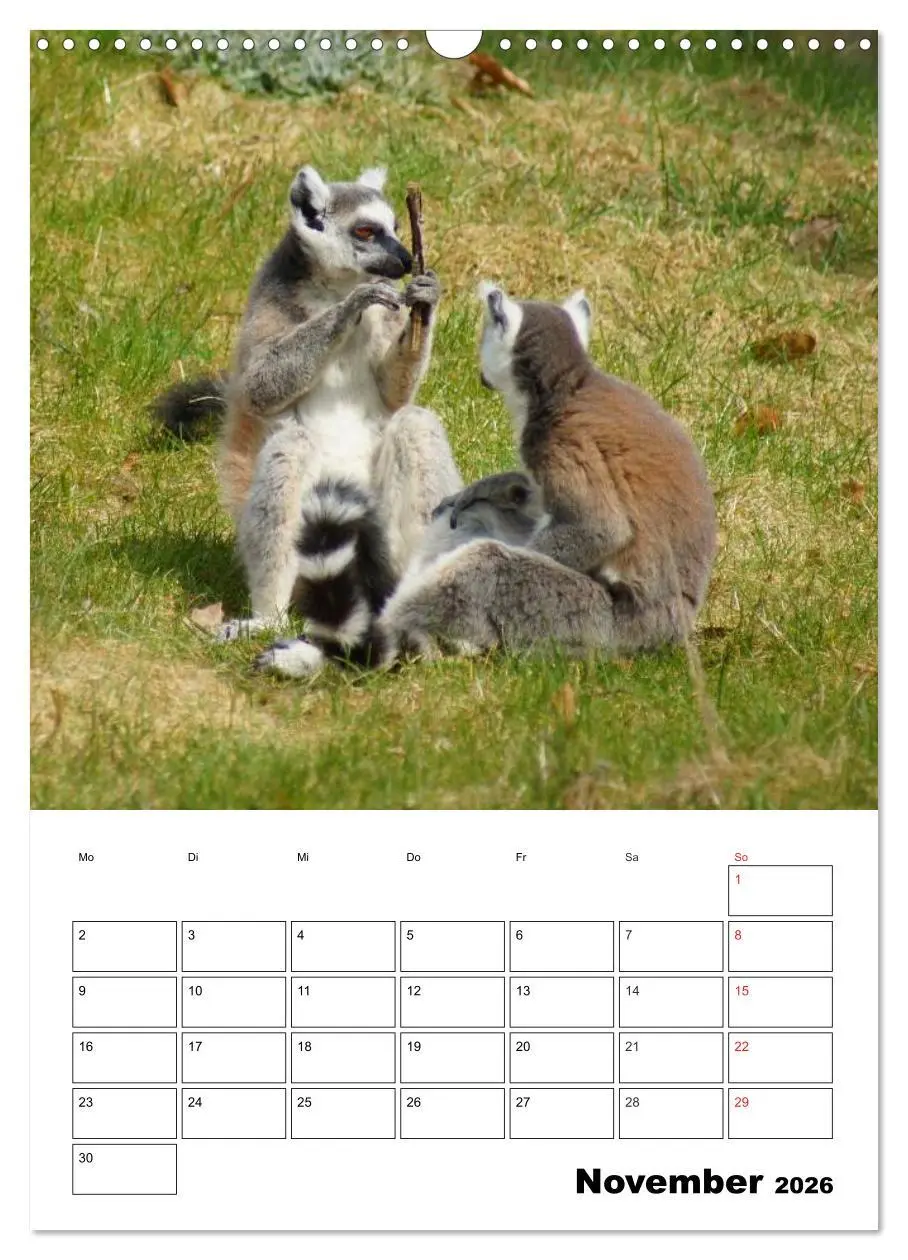 Bild: 9783516432824 | Katta Terminplaner (Wandkalender 2026 DIN A3 hoch), CALVENDO...