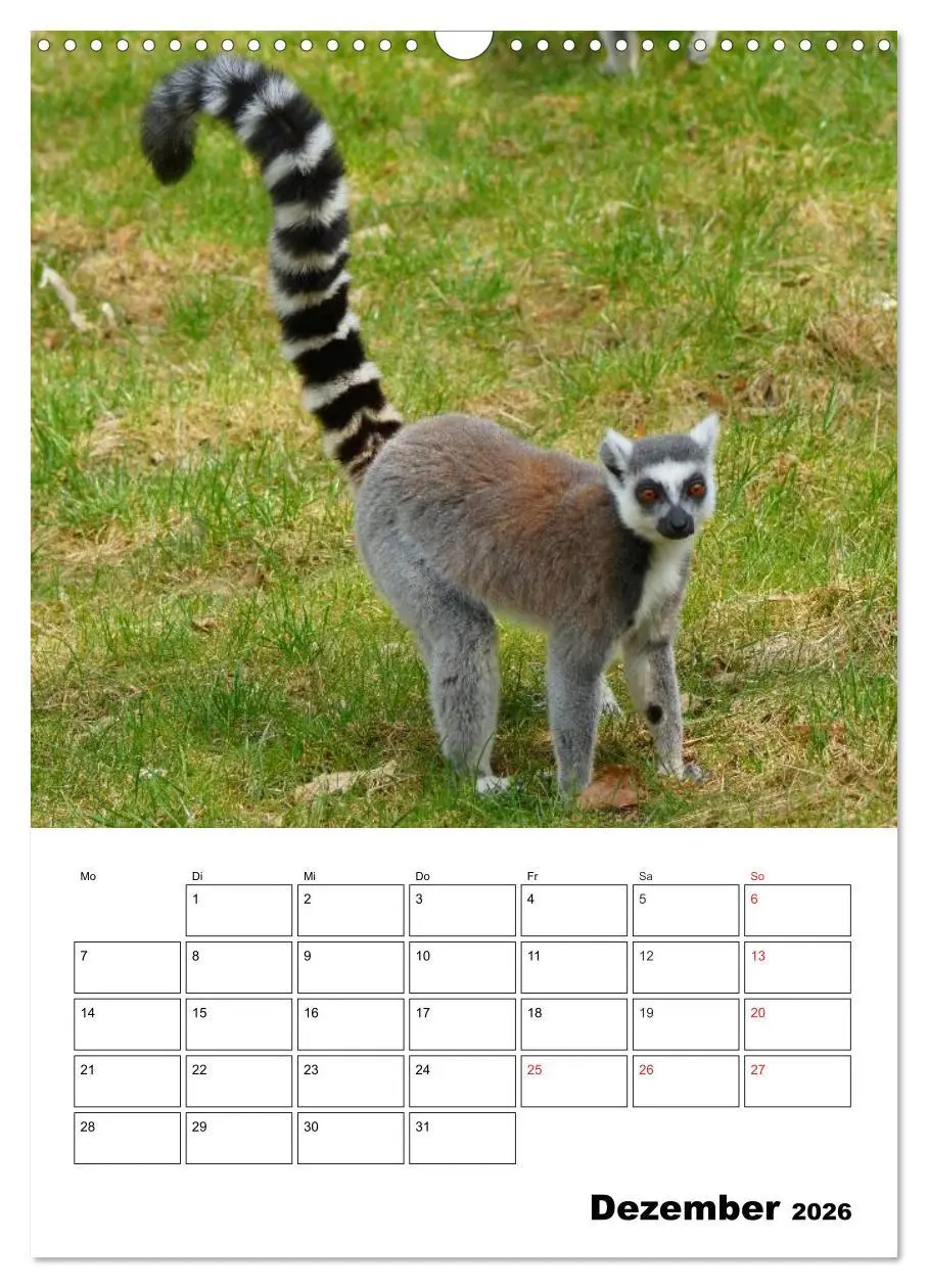 Bild: 9783516432824 | Katta Terminplaner (Wandkalender 2026 DIN A3 hoch), CALVENDO...