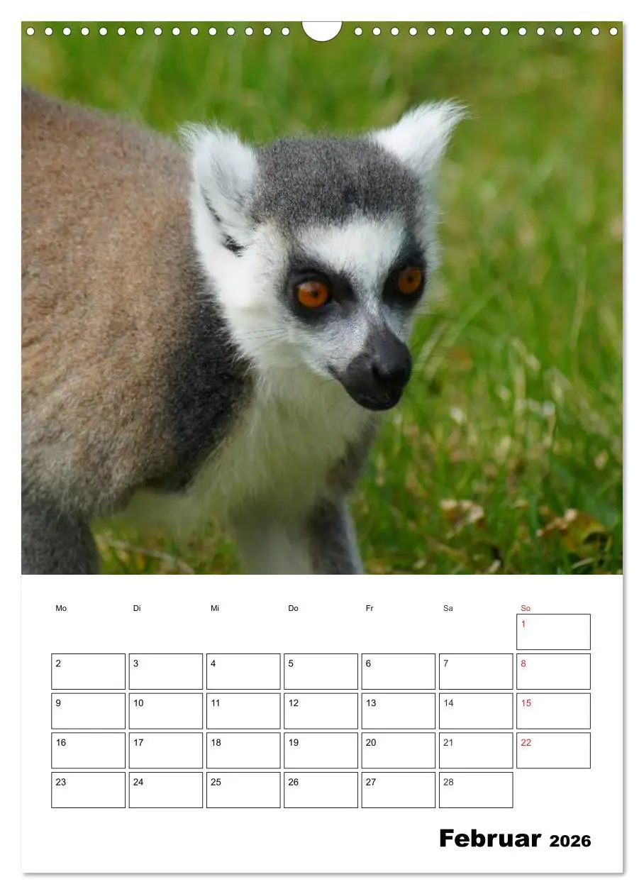 Bild: 9783516432824 | Katta Terminplaner (Wandkalender 2026 DIN A3 hoch), CALVENDO...