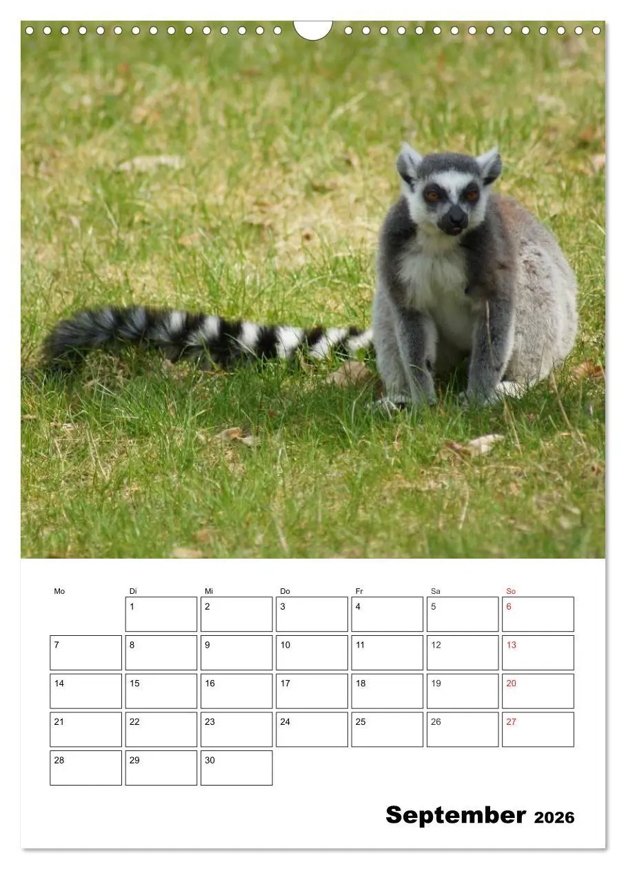 Bild: 9783516432824 | Katta Terminplaner (Wandkalender 2026 DIN A3 hoch), CALVENDO...